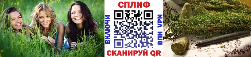 Конопля Камышин