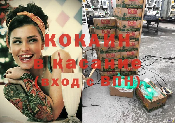 мяу мяу мука Новодвинск